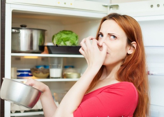 Cách khử mùi hôi trong tủ lạnh hiệu quả