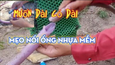 cach noi ong nuoc