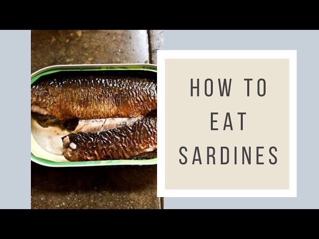 Cá Sardine Là Gì - Sardine Là Gì, Nghĩa Của Từ Sardine